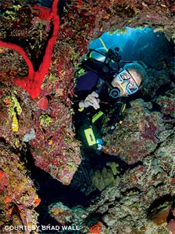 Brad Wall diving at Cozumel