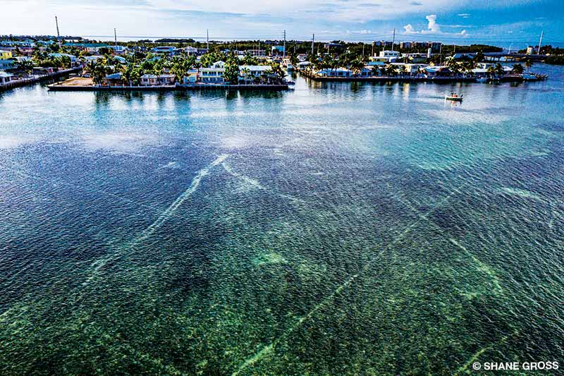 Bekas luka baling-baling di Florida Keys