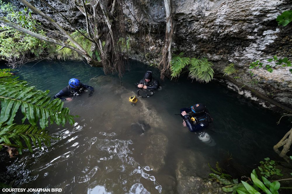 My Path To Cave Diving Divers Alert Network   8 AncientCaves 27 1 