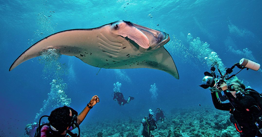 Alert Diver magazine Q3 2022 Diving in the Maldives with manta rays.