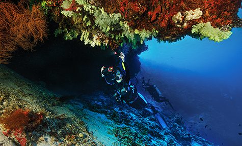 Alert Diver magazine Q3 2022 Diving in the Maldives to see softcoral