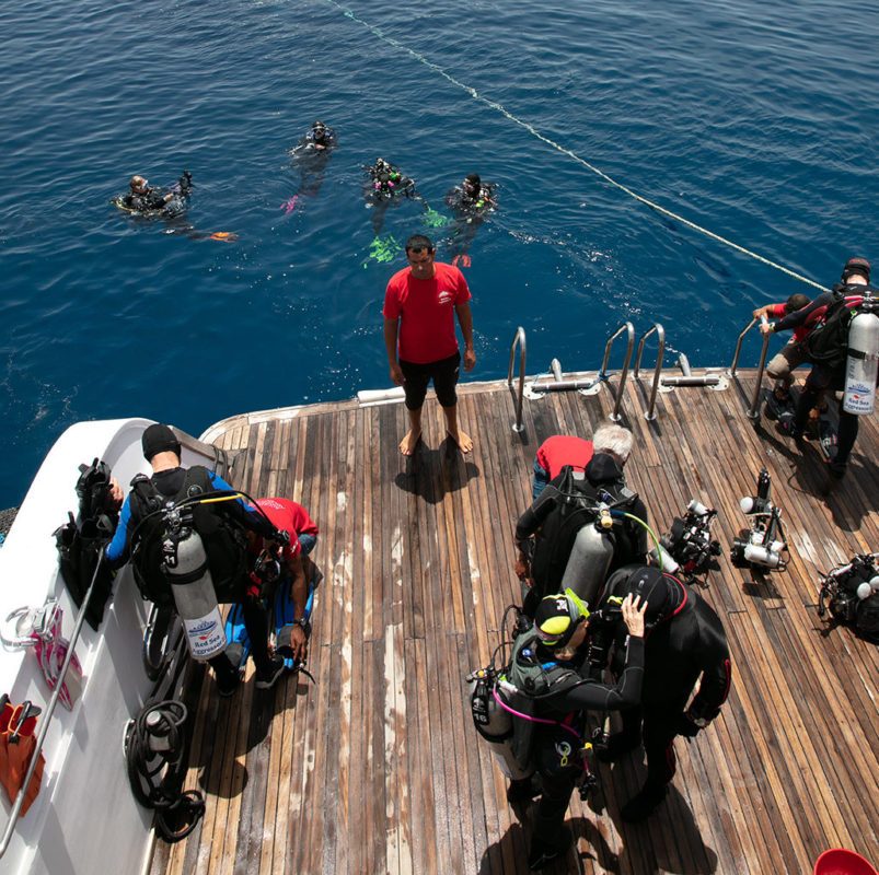 Dive Operations - Divers Alert Network