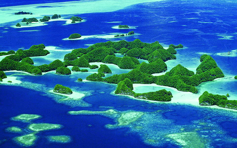 Diving Palau Islands