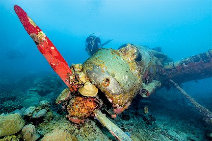 Diving Palau Islands Alert Diver magazine Q3 2023