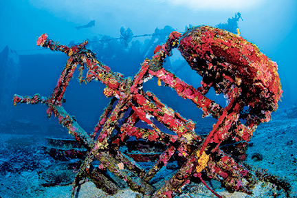 Alert Diver magazine article writes about dive sites around St. Eustatius.