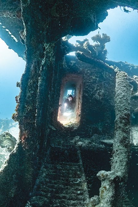 Viviana del Campo points out the flourishing corals covering the wreck of a Japanese World War II patrol boat