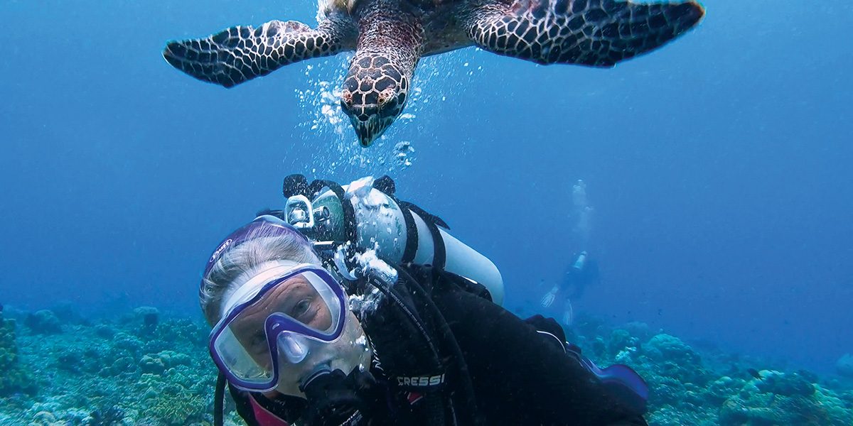 Kristy Hiltz, McNab’s wife, scuba diving with sea turtle.