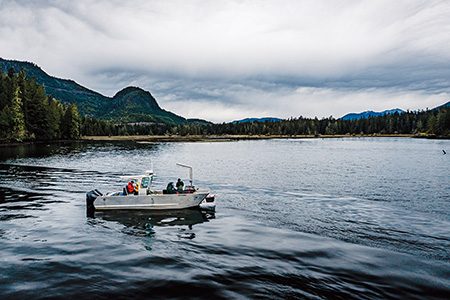Clayoquot Sound offers some challenging currents, depending on the tides.