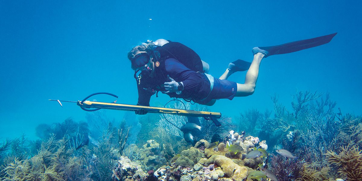 There is no catch and release when spearfishing.