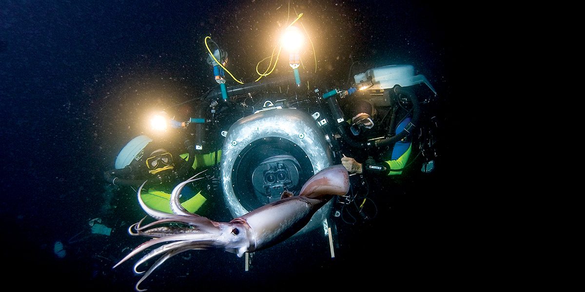 underwater photo shoot with a squid