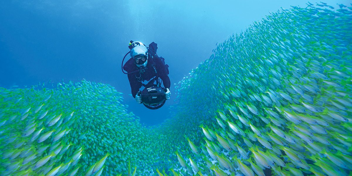 Dalio pilots an underwater DPV through a massive school of tropical reef fish