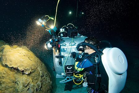 Howard Hall captures the peak activity of a coral spawn