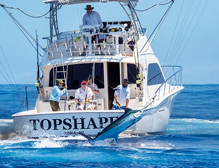 An Indo-Pacific blue marlin jumps while hooked up.