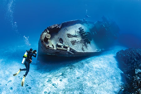 Kittiwake shipwreck
