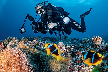 Nicole diving with orange-fin anemonefish