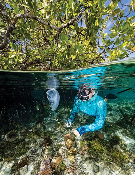 A snorkeler with jellyfish 