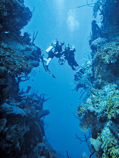 Shannon took photo of her parents scuba diving