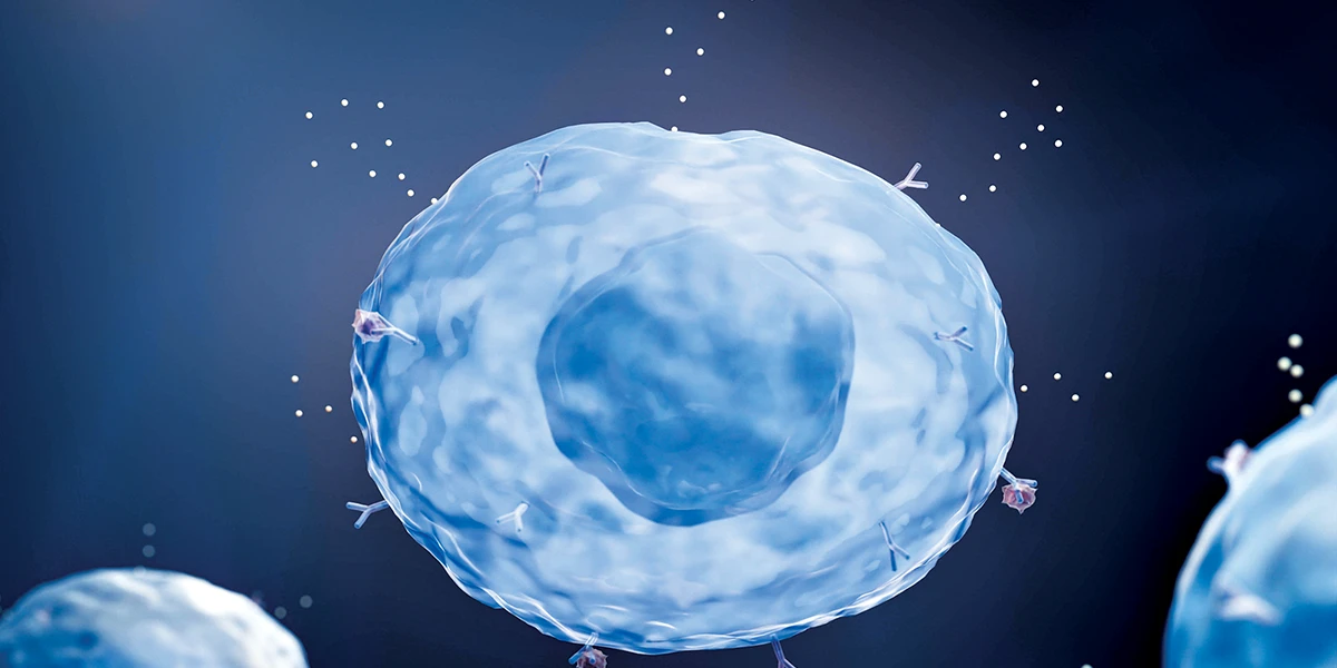 mast cell activation syndrome (MCAS)