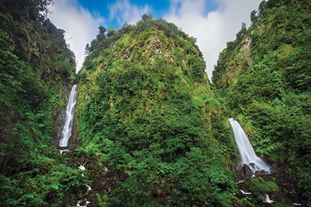 Falls, one of Dominica’s most popular and accessible waterfalls