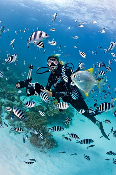 Clear Blue Water and Sergeant Majors