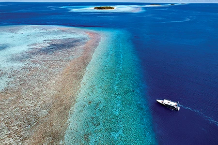 A liveaboard in the Maldives drops divers along the face of a drop-off