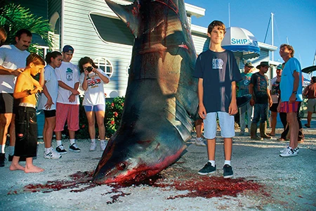 angler caught great white shark
