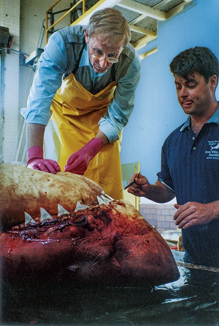 Divers and sharks underwater in the Bahamas. They pose next to pink blocks on the ocean floor that read "Stuart Coves."