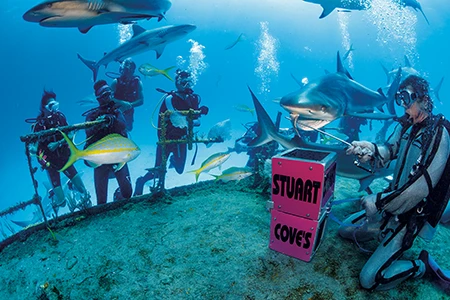 Divers and sharks in the Bahamas