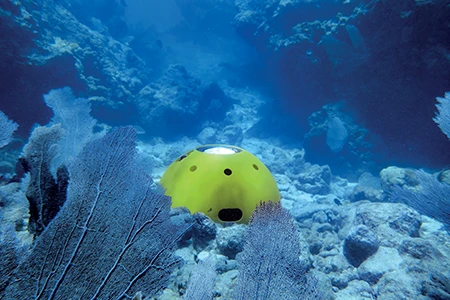 Divers deploy an acoustic Doppler