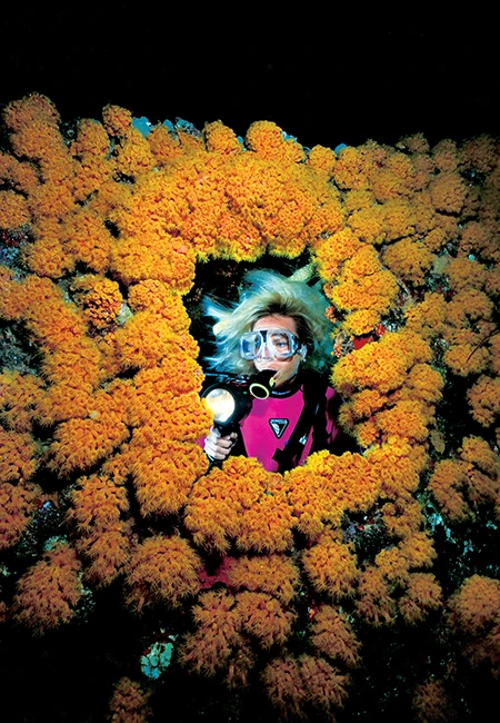 Diver poses inside bright orange coral reef.