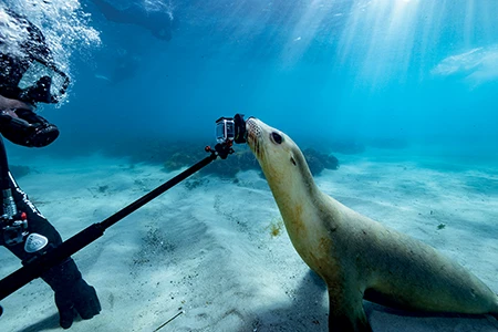 When filming, do not touch or disturb the environment or the creatures in it for the sake of a shot, although the creatures may have other ideas. 