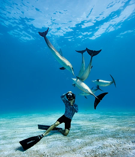 Pete Zuccarini photographs Atlantic spotted dolphins while freediving.