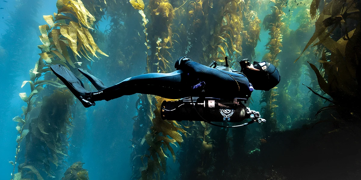 The Avelo System is a reimagining of buoyancy in scuba diving.