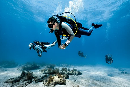 Avelo System strives to help divers focus more on the experience of diving