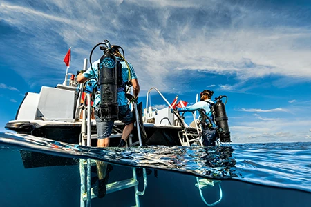 certified open-water divers