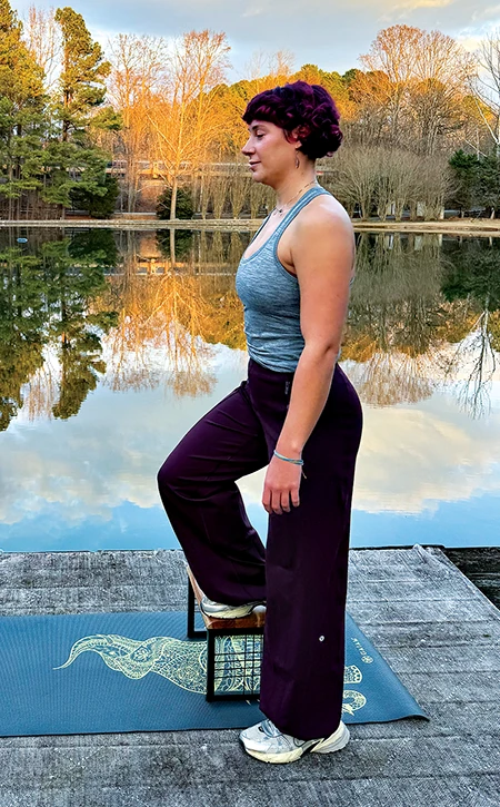 Lateral Step Up with Abduction