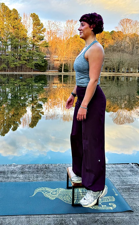 Lateral Step Up with Abduction