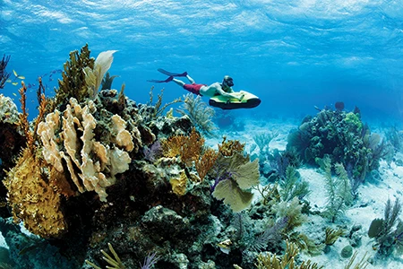 A diver uses a diver propulsion vehicle to explore the shallow Southwest Reef.