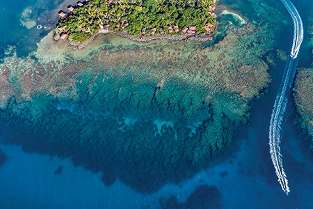 An aerial photo shows the coral reef bordering an island.