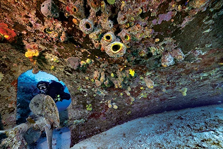 A diver explores the propeller of the Willaurie shipwreck.