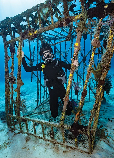 A diver in a sponge-encrusted shark cage