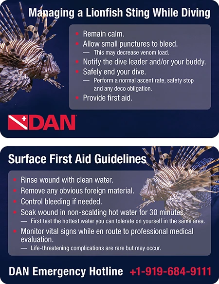 An infographic from DAN on how to manage a lionfish sting while diving.