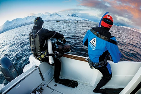 Drysuit divers prepare to enter the cold water to swim with orcas.