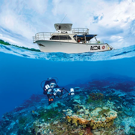 coral below a Micronesian Divers Association (MDA) dive vessel