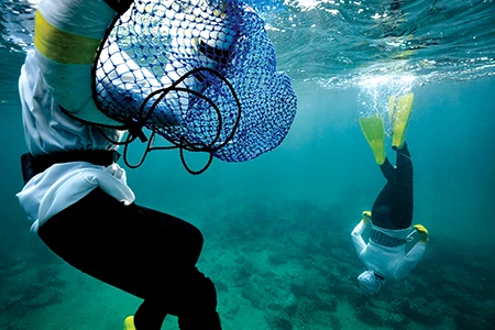 Hayashi and Okumura freedive in Ago Bay.