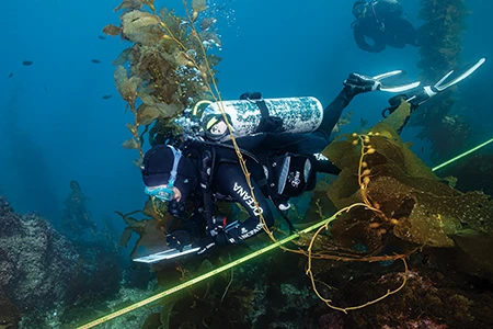 A scientific diver swims near the ocean bottom with slate in hand