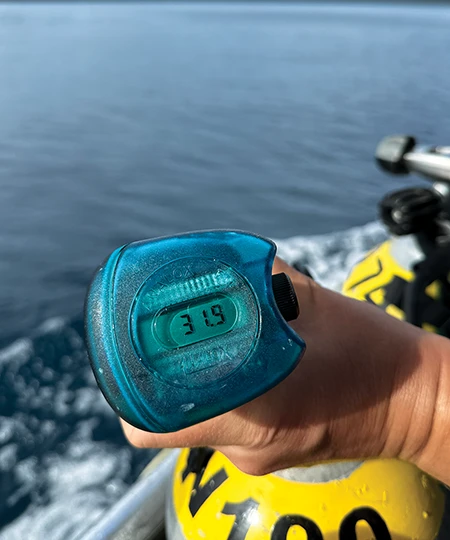 A final analysis by the diver is essential.