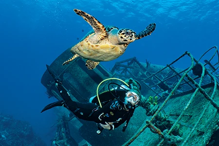A diver swims with a hawksbill turtle on the USS Kittiwake wreck at Grand Cayman.