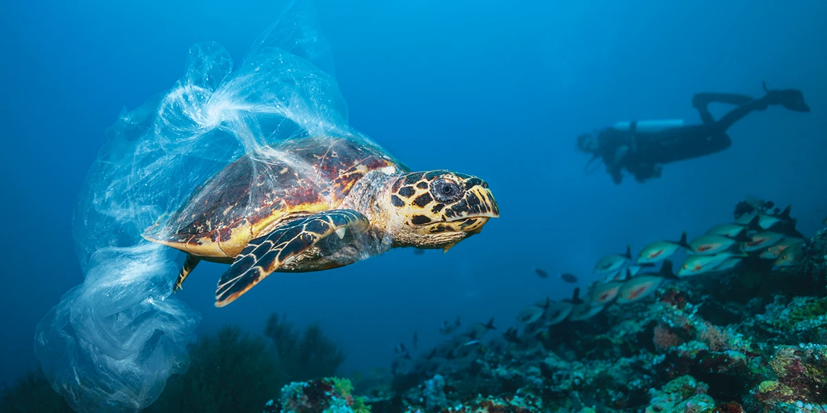 This conceptual image portrays a turtle entrapped with plastic debris.