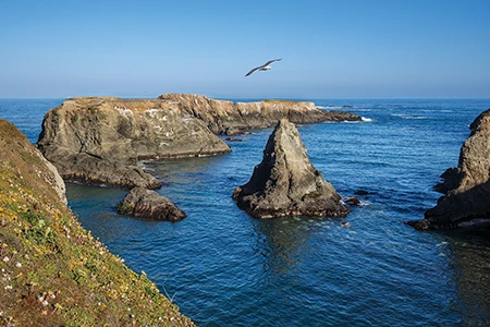 Mendocino Headlands State Park